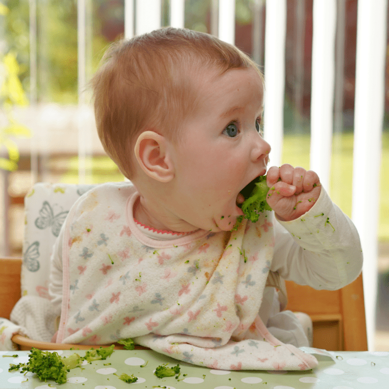 How to introduce pasta to baby (and the best pasta for BLW) - My Little ...