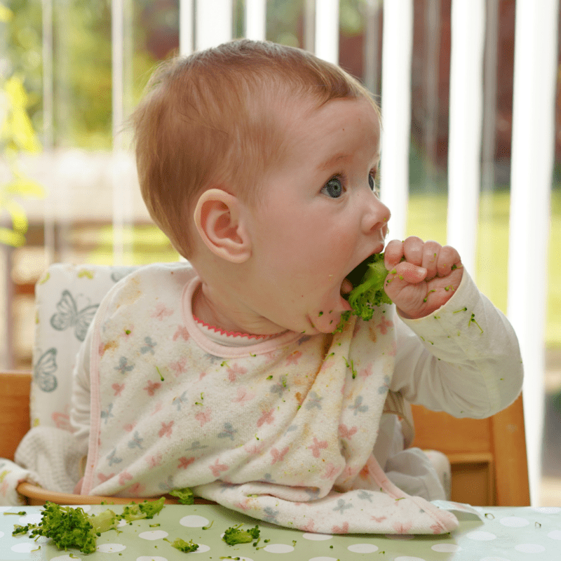 How to introduce pasta to baby (and the best pasta for BLW) - My Little