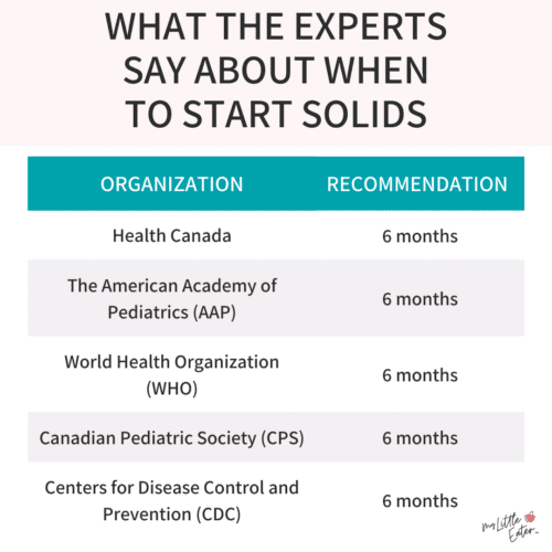 Purées at 4 months: why it’s not recommended and what you should do