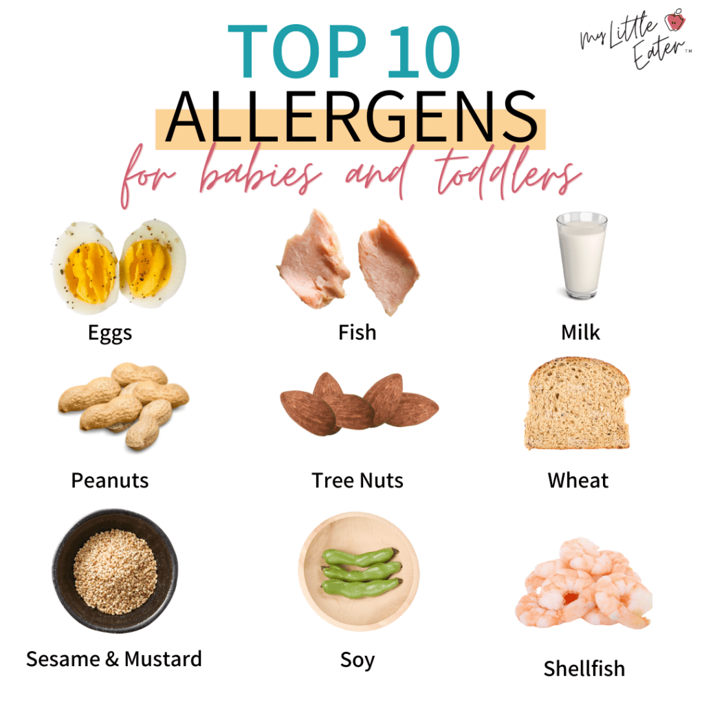 early introduction of common allergens, like tree nuts, to prevent an allergic reaction; top 10 allergens for babies and toddlers