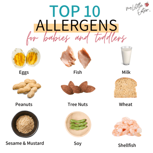 Purées at 4 months: why it’s not recommended and what you should do