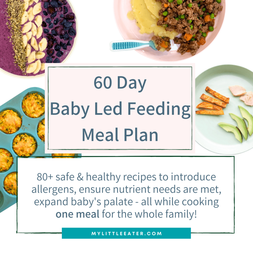 daycare lunch ideas; 60 day baby led feeding meal plan by My Little Eater