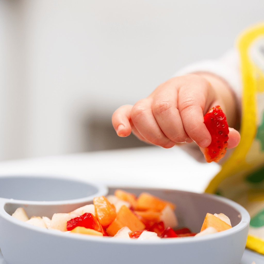 easy daycare lunches with food for babies and yummy toddler food; hand cutting fruit