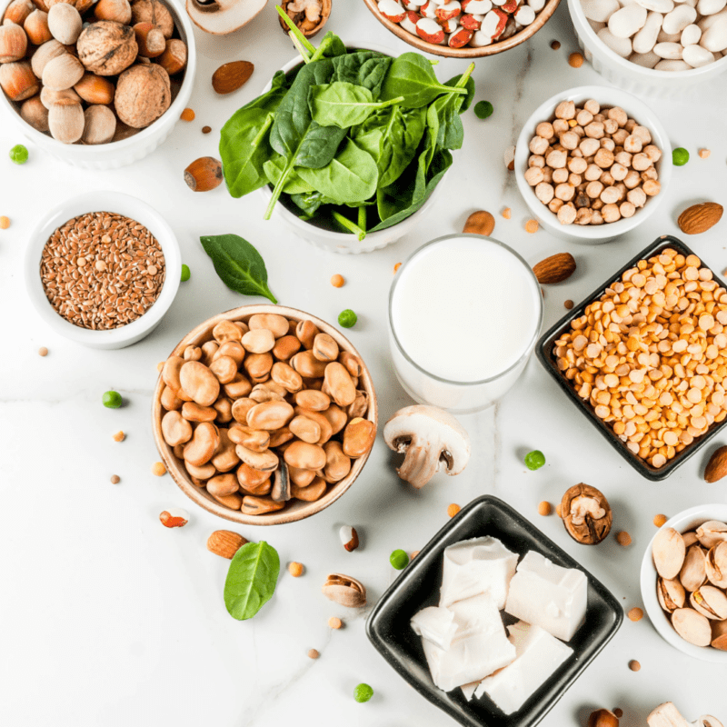 Protein powder for toddlers is it safe and which protein powder is