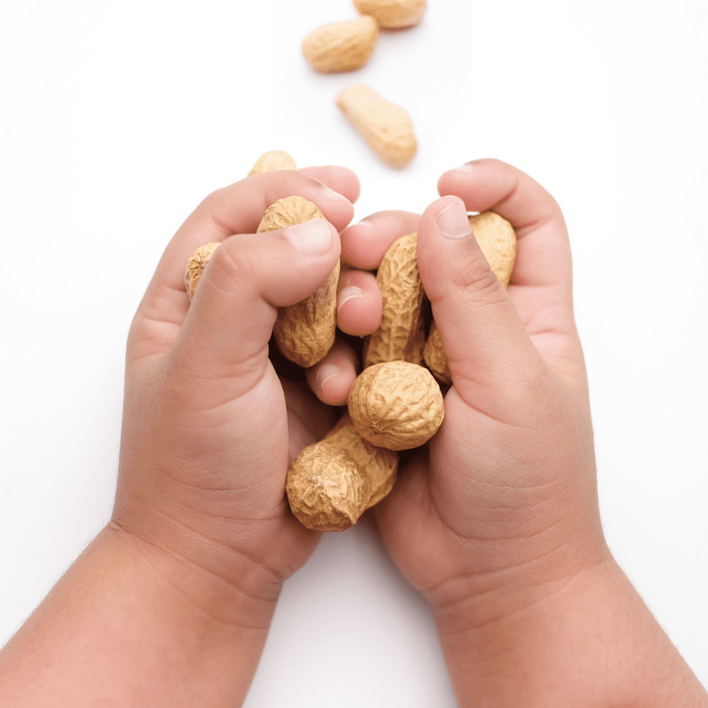 removing peanuts from baby and toddler lunch ideas for daycare due to food allergies; child holding peanuts