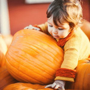 The Best Fall Foods for Babies for baby led weaning or purees.