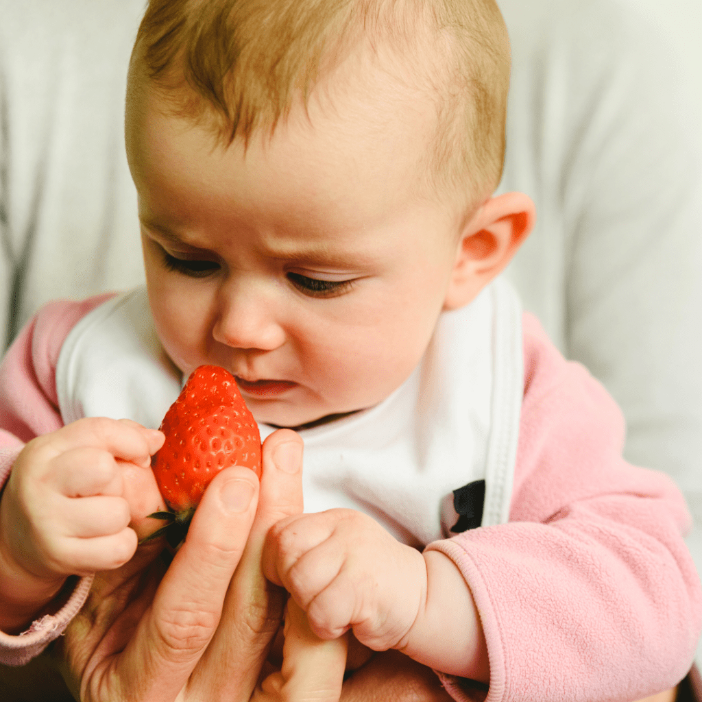 offering finger foods, even in the first few weeks does not increase choking risk