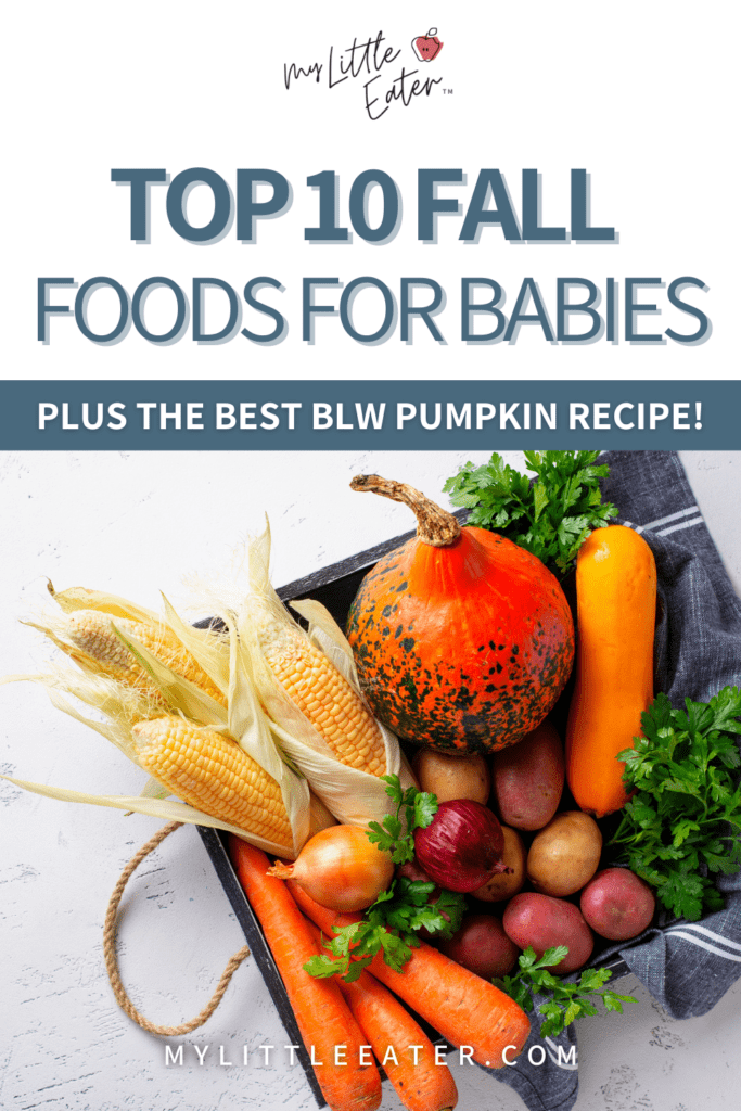 top 10 fall foods for babies; pin