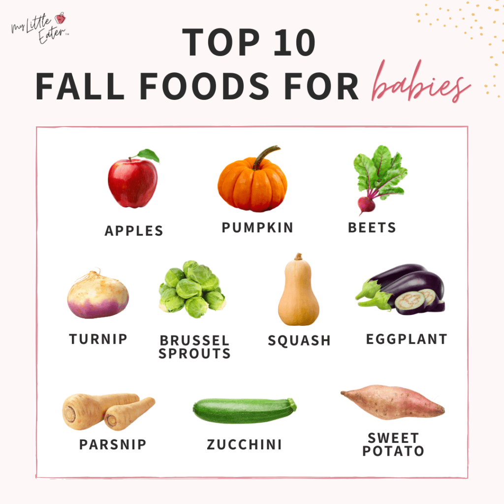 Top 10 fall foods for babies including apples, pumpkin, beets, turnip, brussel sprouts, squash, eggplant, parsnip, zucchini, and sweet potatoes.