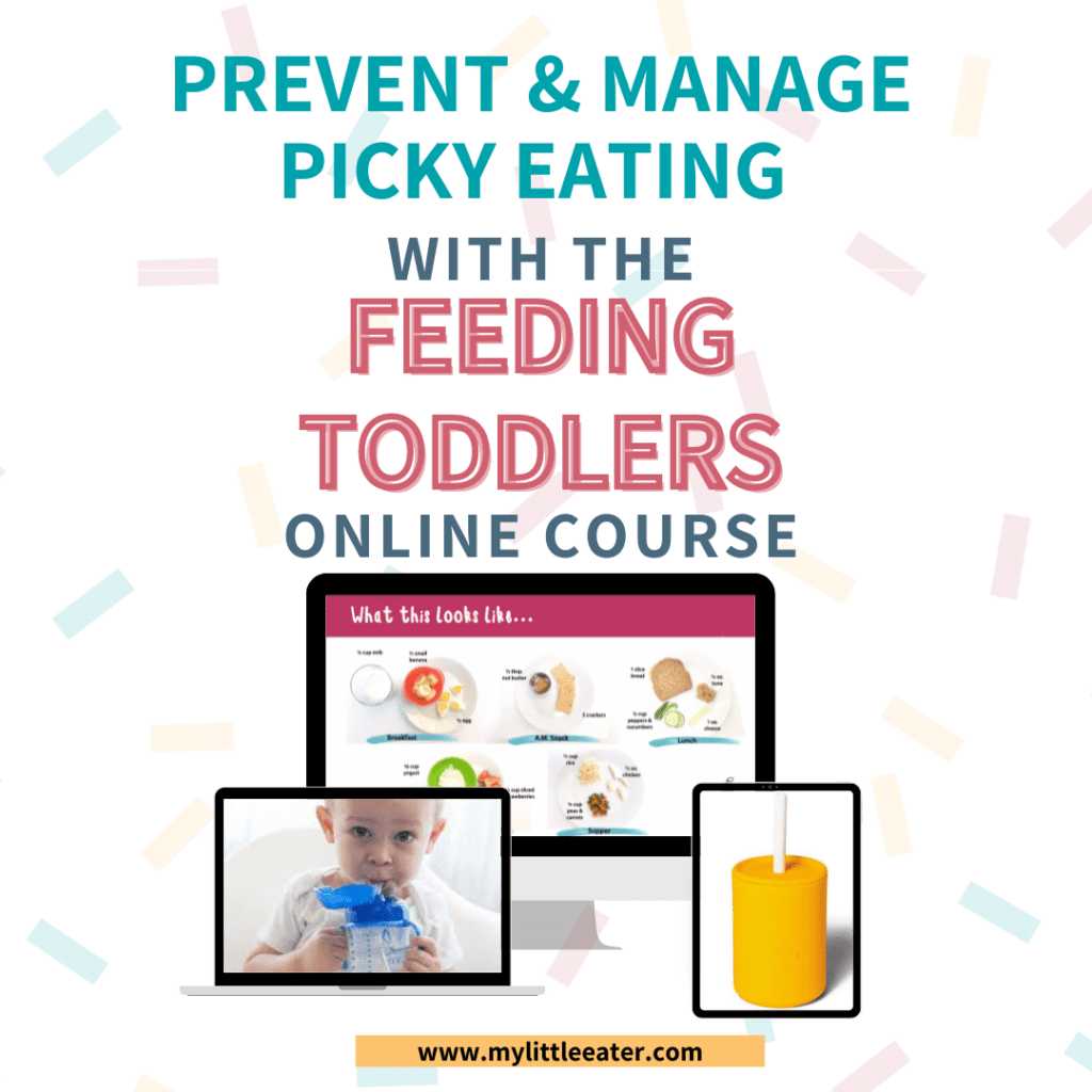 Feeding Toddlers online course by My Little Eater.