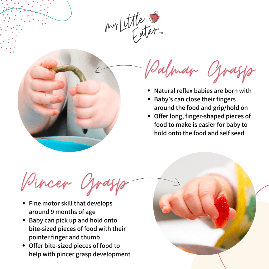 Image with descriptions differentiating between palmar grasp and pincer grasp.