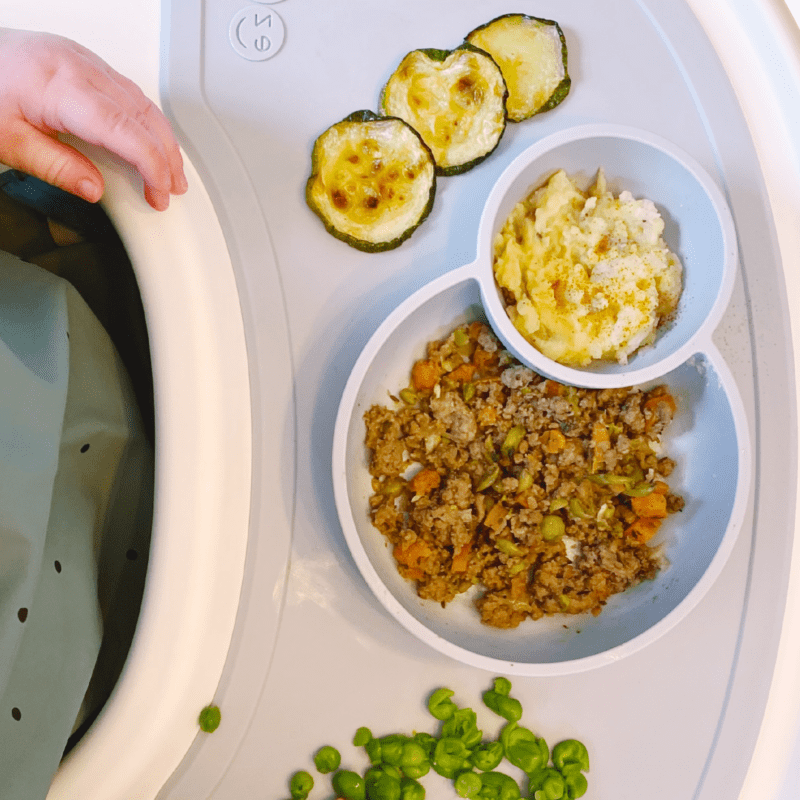 Ground beef for babies how to serve it and the best beef recipe My