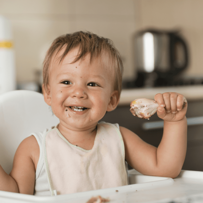 Ground beef for babies how to serve it and the best beef recipe My