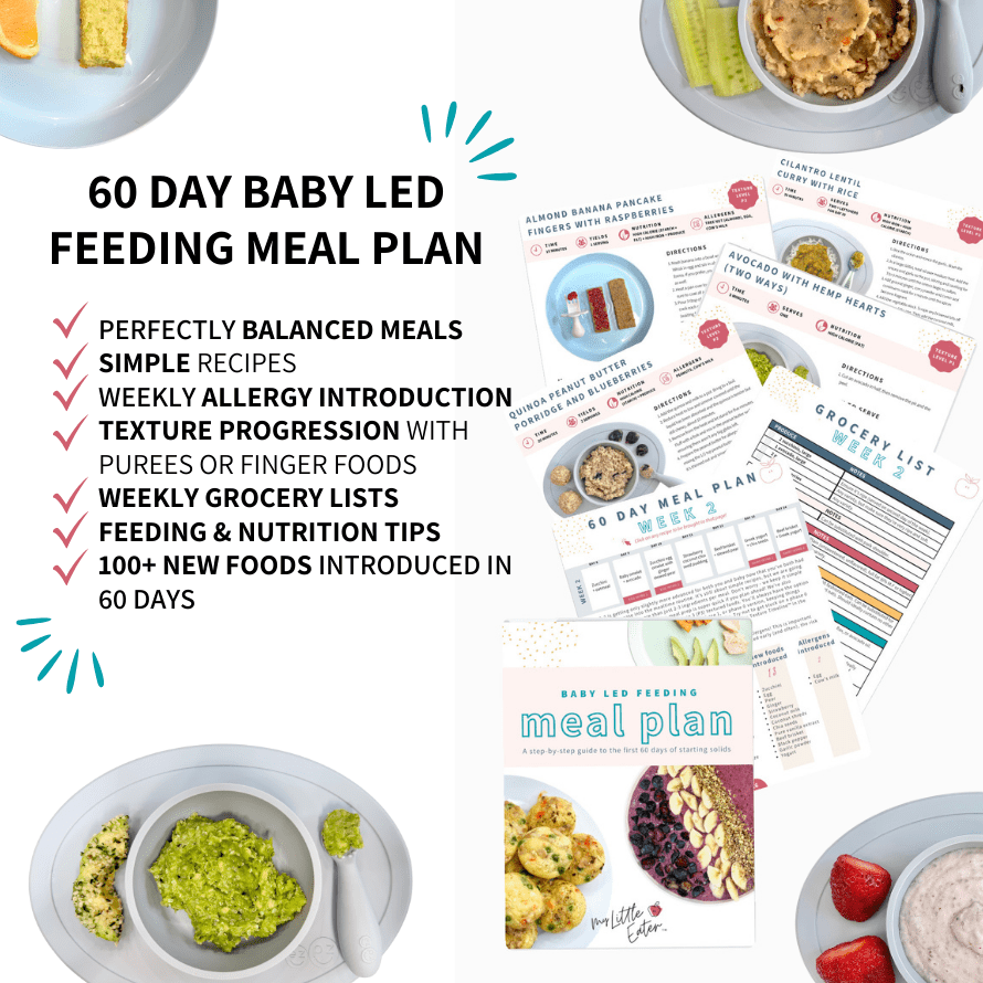 Freezer Friendly Baby Led Weaning and Healthy Family Meal Prep Tips. Feed  Everyone Quick with Freezer Friendly Family Food. - Baby Led Feeding