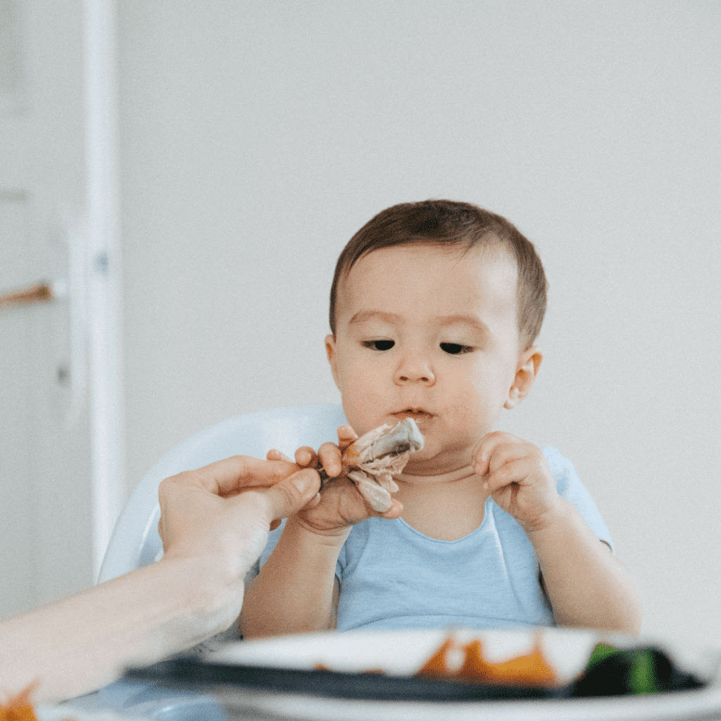 Baby not interested in eating table food, specifically a chicken drumstick.