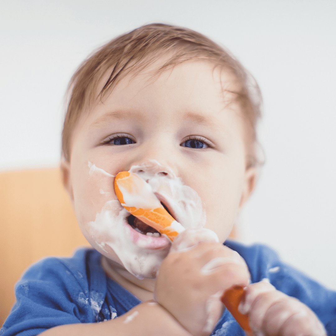 Best yogurt for babies nutrition, allergy, and top brand research