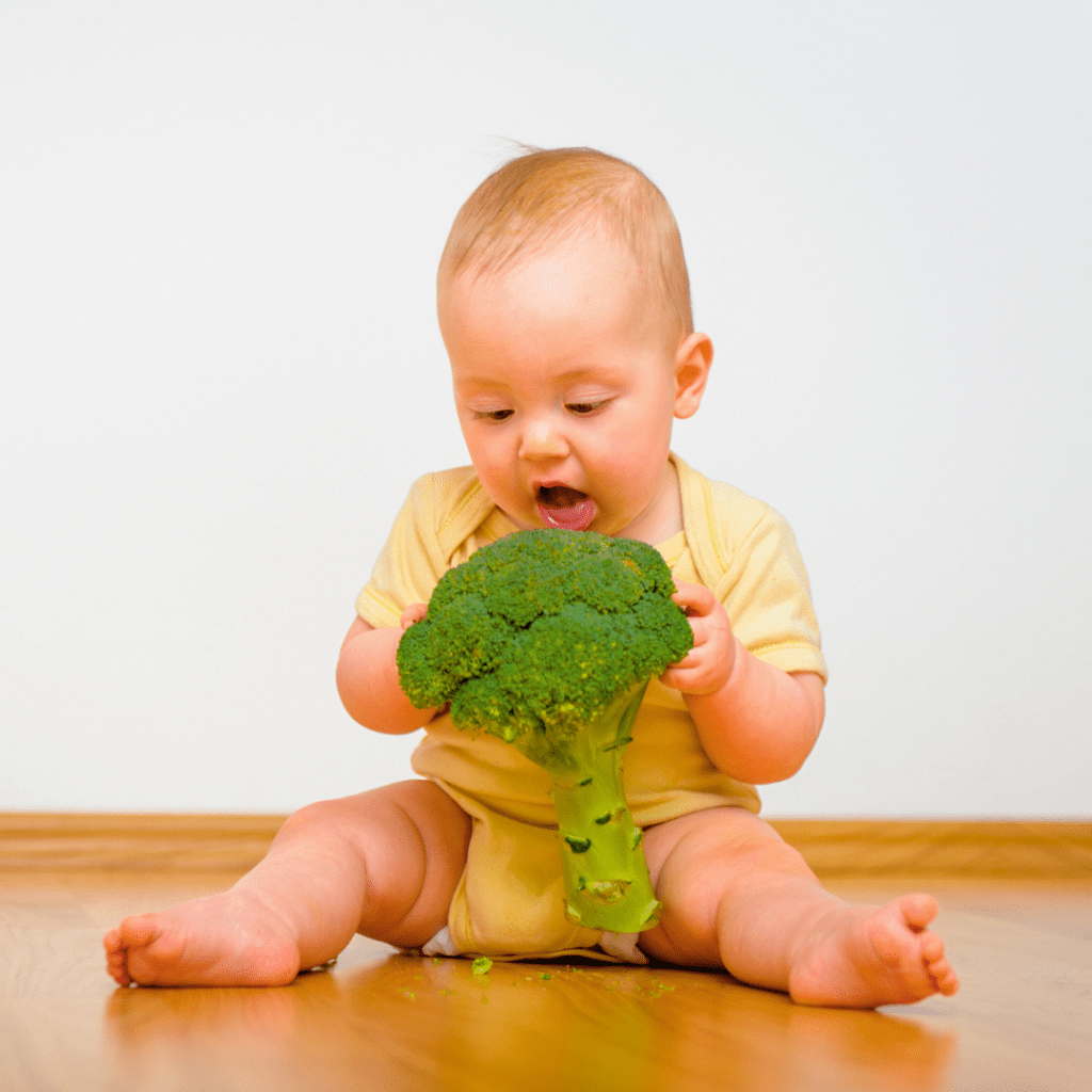 Baby sitting on floor, holding and trying to eat a large stalk of broccoli.