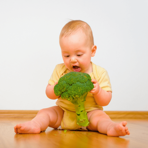 Food Sizes And Shapes For Babies Why Bigger Is Better and Safer For Baby Led Weaning My