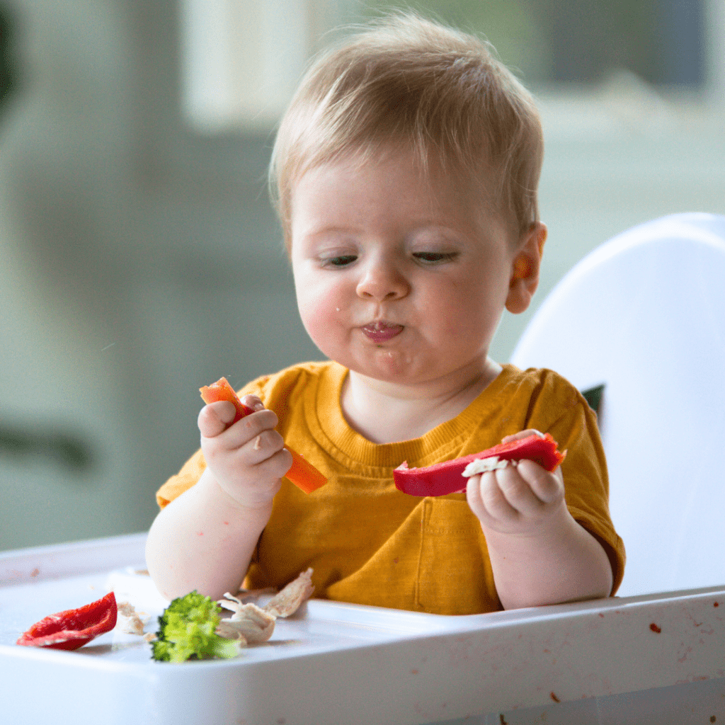 Baby eating peppers, carrot, broccoli, and mushrooms in a high chair. Food preparation in baby led feeding helps minimize choking risk.