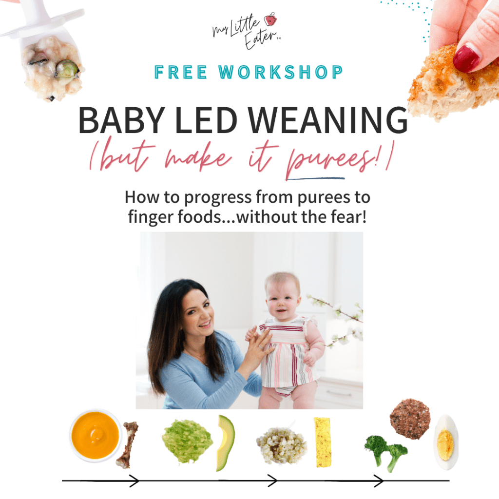 Baby led weaning workshop teaching by My Little Eater.