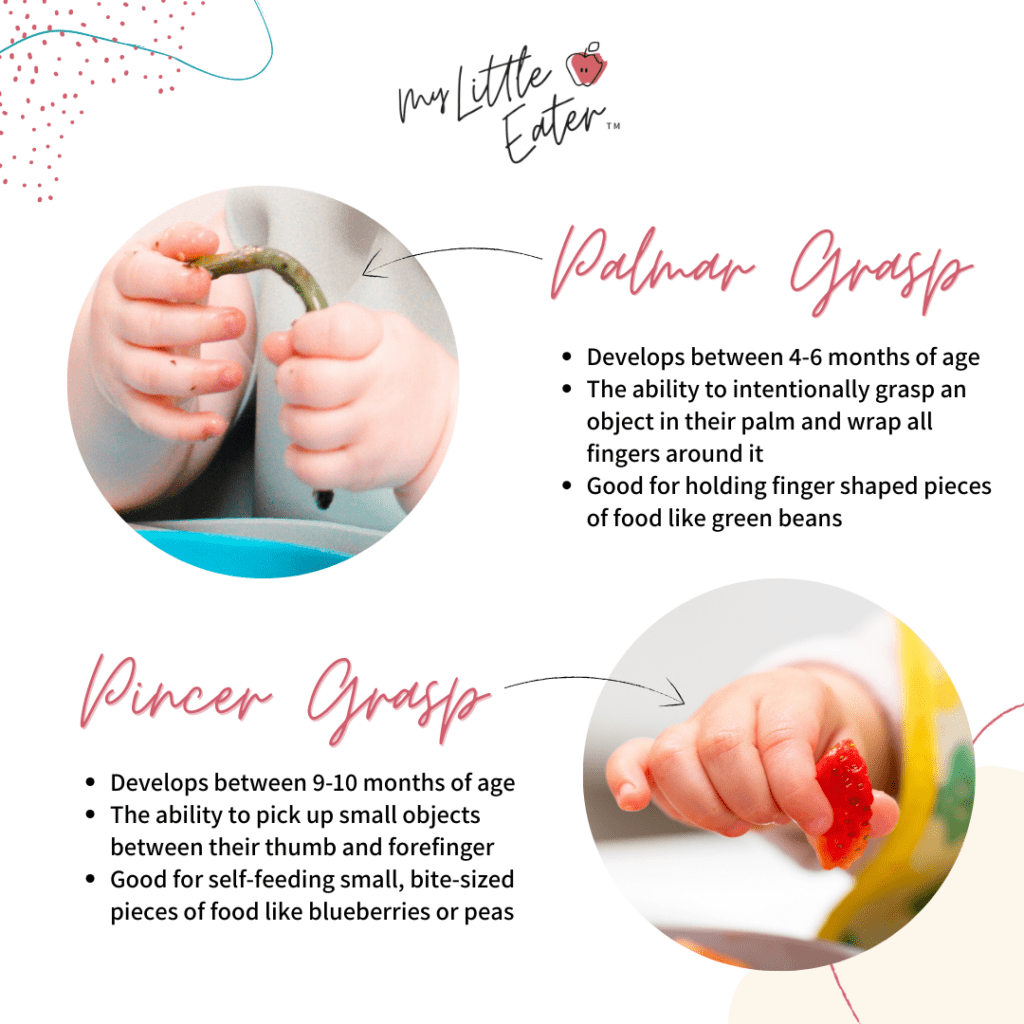 The difference between palmar grasp and pincer grasp in baby led weaning.