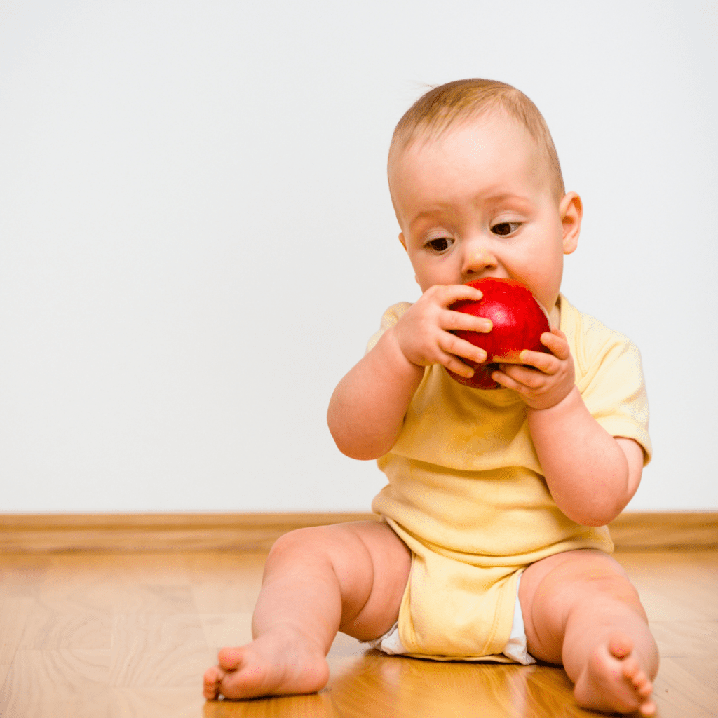 Baby sitting on floor, holding and trying to eat a large apple.