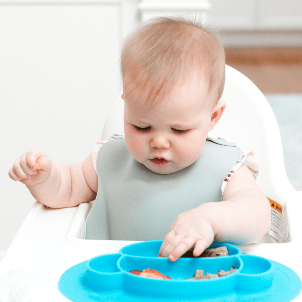 Baby in high chair picking up food with pincer grasp for the baby led weaning style of feeding.