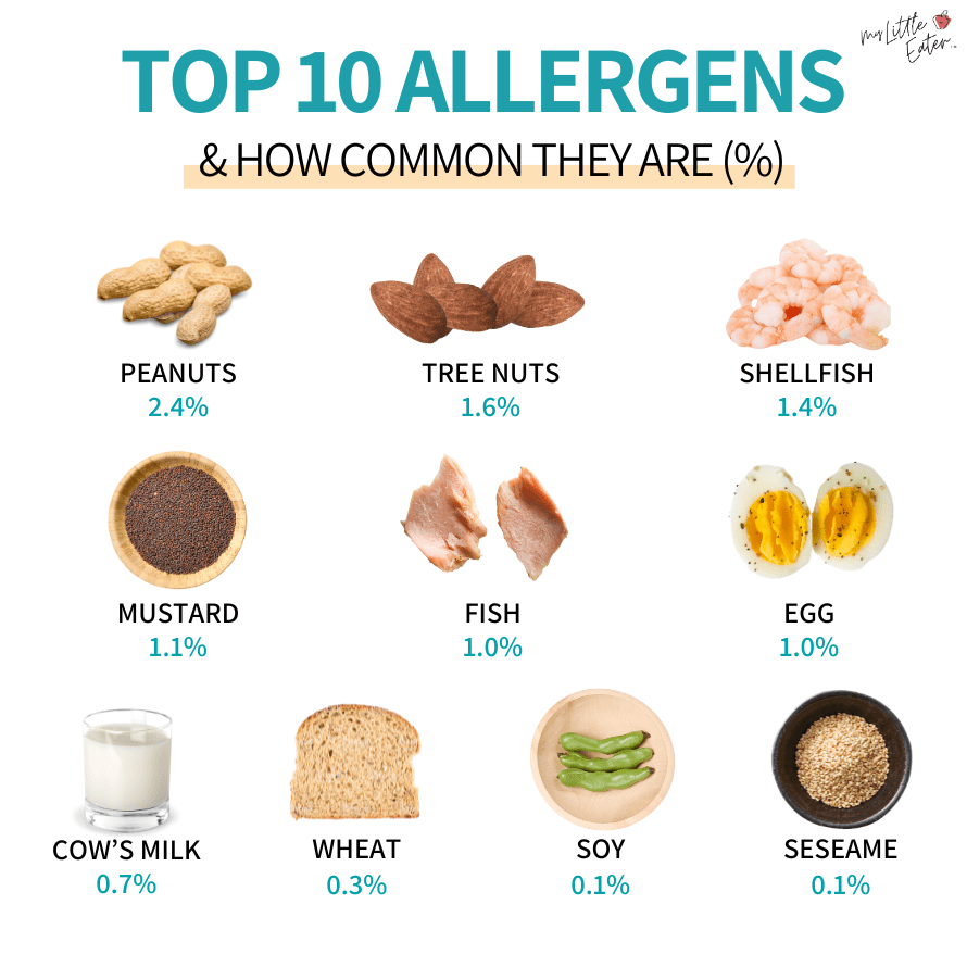 The top highly allergenic foods to be aware of when planning baby's meals.