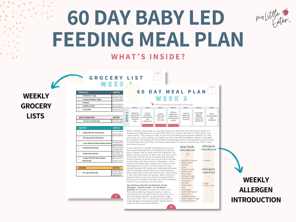 60 Day Baby Led Feeding Meal Plan to make your own baby food with weekly grocery lists and weekly food allergy introduction.