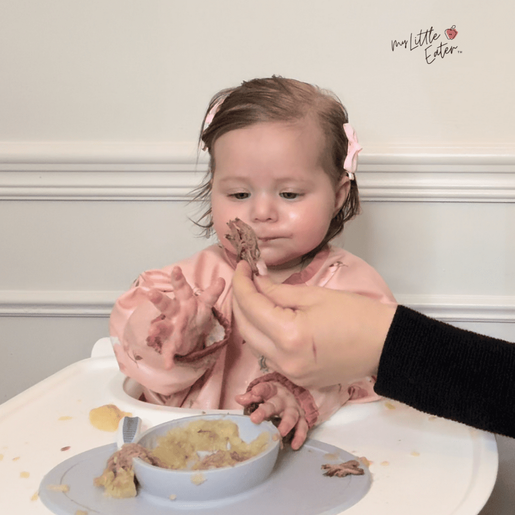 Baby eating different foods in a high chair and being offered a piece of meat.