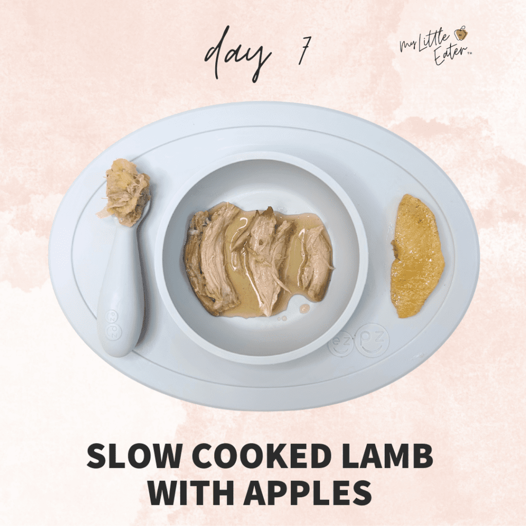Day 7 of eating solids with slow-cooked lamb with apples.