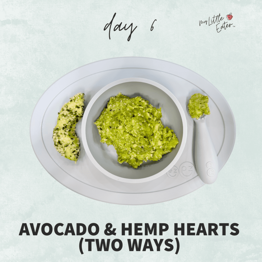 Day 6 of introducing solid foods with avocado and hemp hearts served two ways (pureed and finger food).