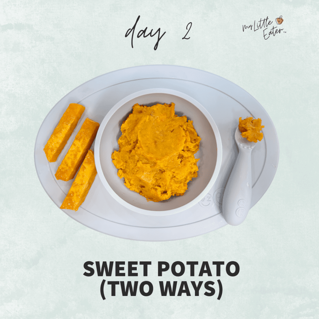 Day 2 of introducing solid foods with sweet potato two ways, pureed homemade baby food and a solid food.