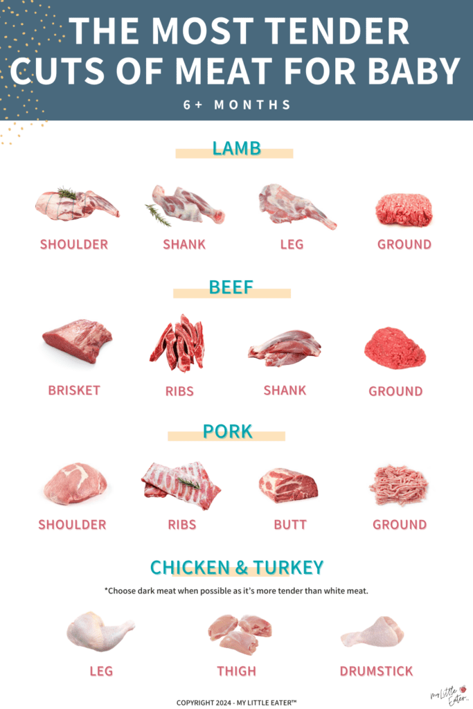 The most tender cuts of meat for babies including lamb (ground, leg, shank, shoulder), beef (ground beef, shank, ribs, brisket), chicken and turkey (drumstick, thigh, leg), and pork (ground, butt, ribs, shoulder).