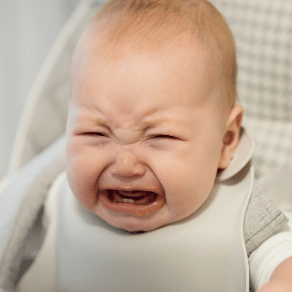 A baby cries while in their highchair wearing a bib.