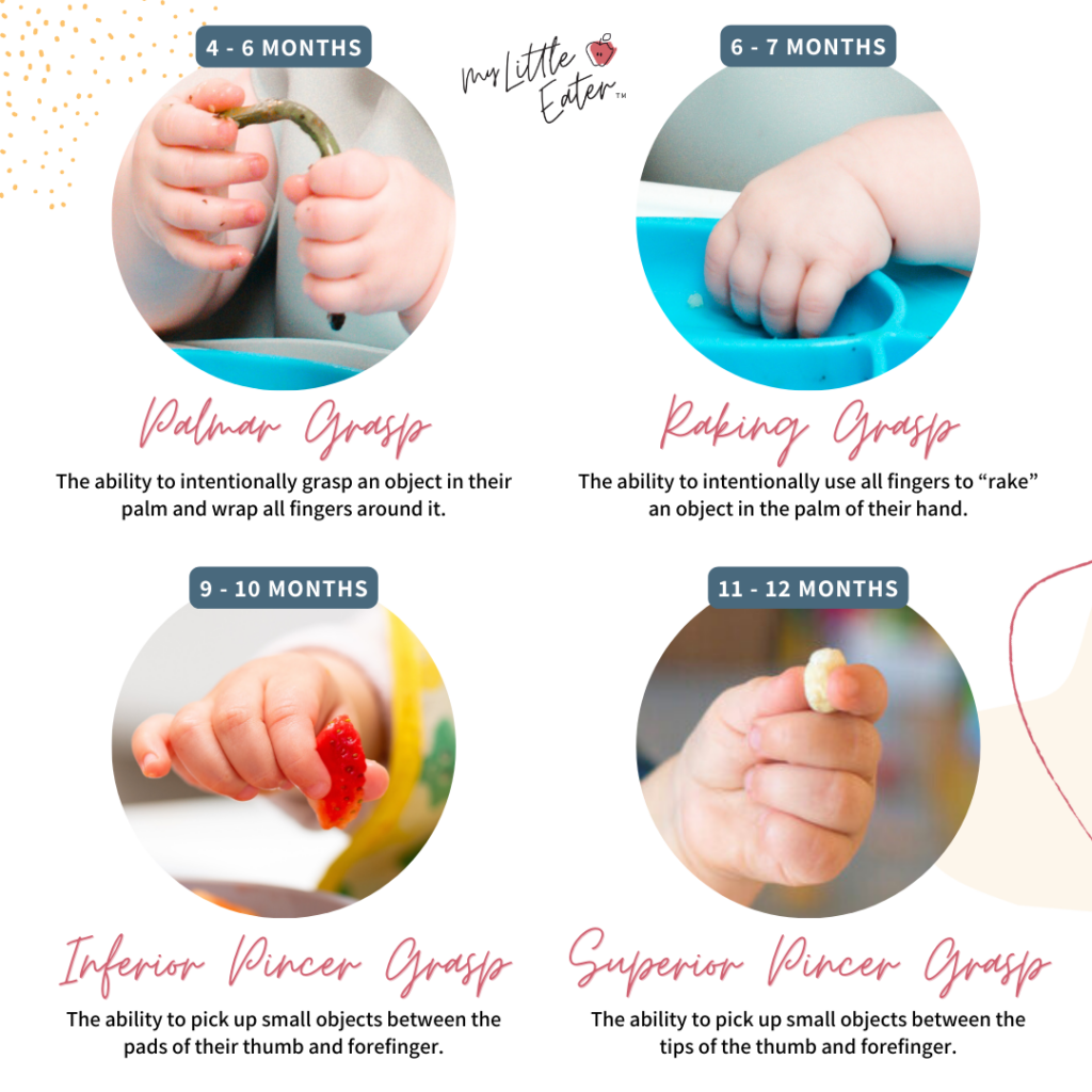 When do babies develop pincer grasp? The stages of development by age starting with palmar grasp, followed by raking grasp, inferior pincer grasp, and finally superior pincer grasp.