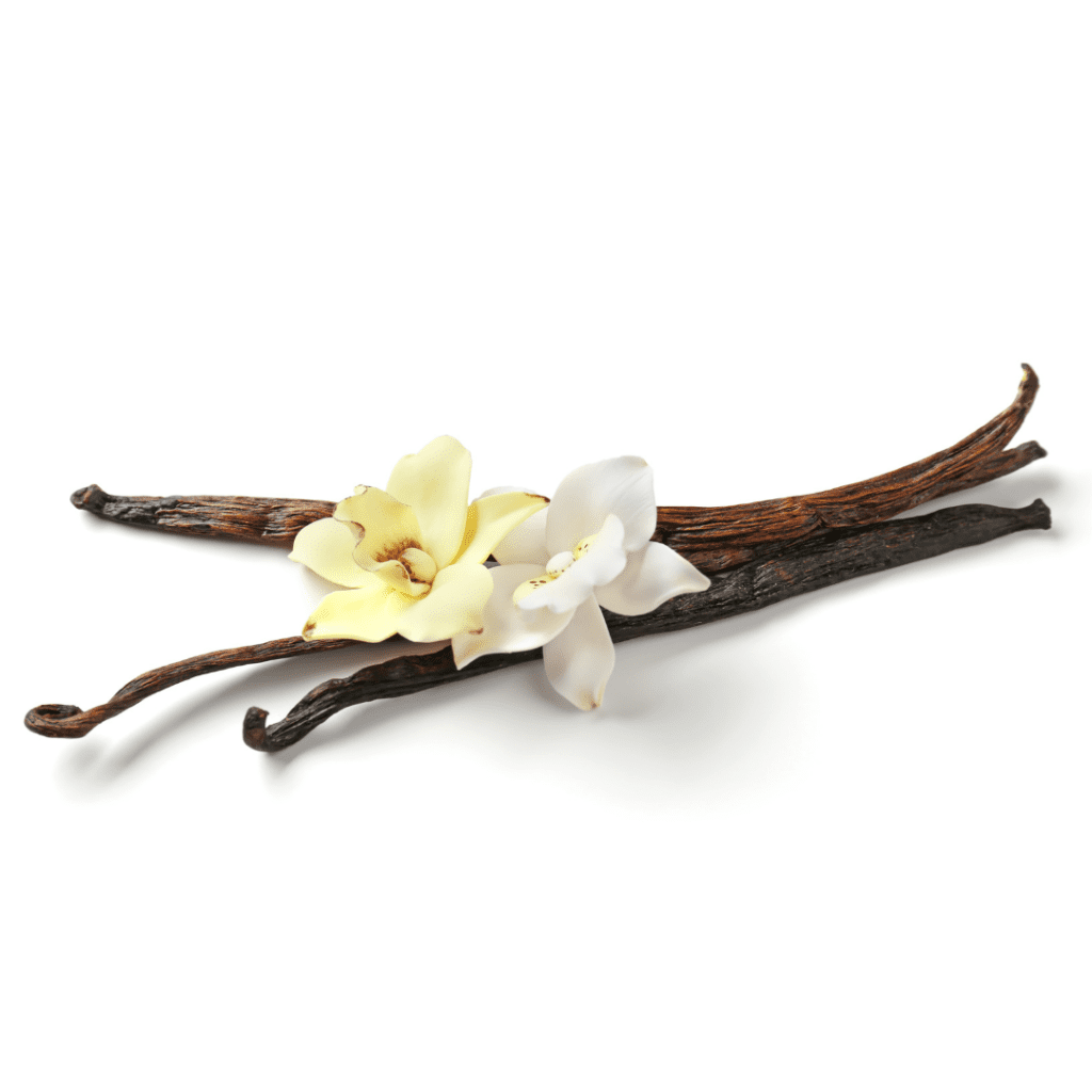 Three vanilla beans with the flowers resting on top.