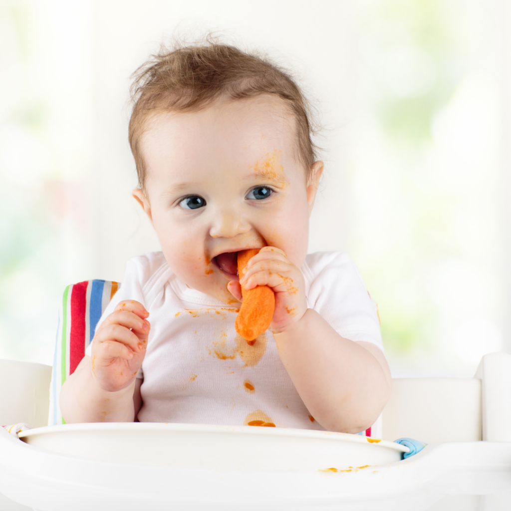 Babies gag during baby led weaning, this baby mouths a raw carrot to decrease the gag reflex.