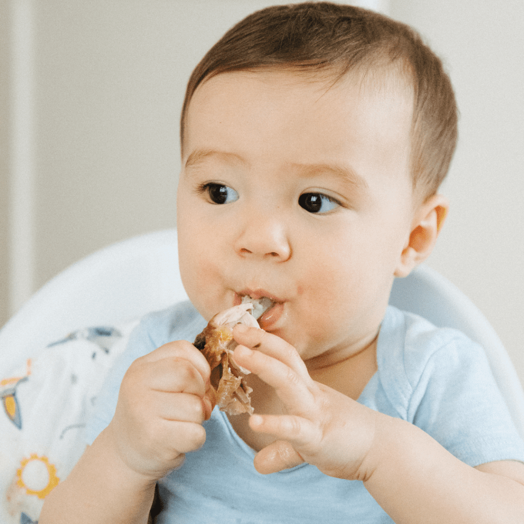Baby bites on a chicken drumstick while sitting in their high chair.