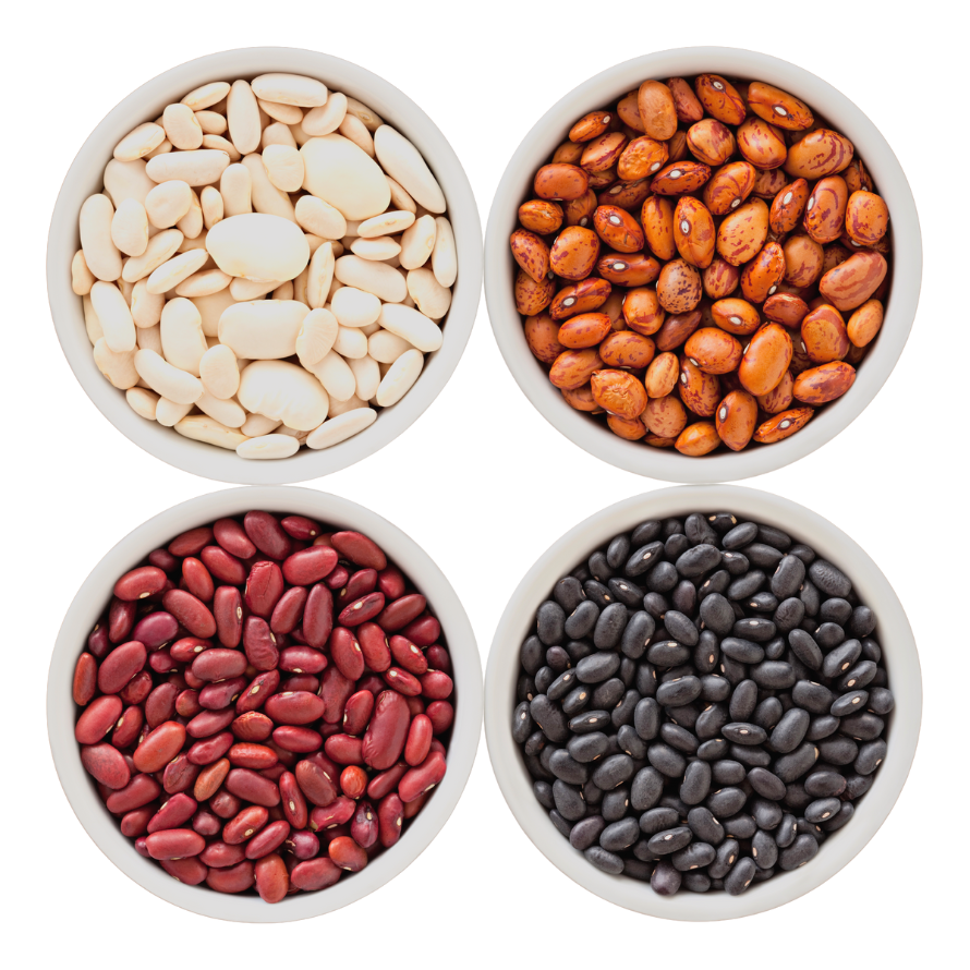 Four different types of beans in separate bowls.