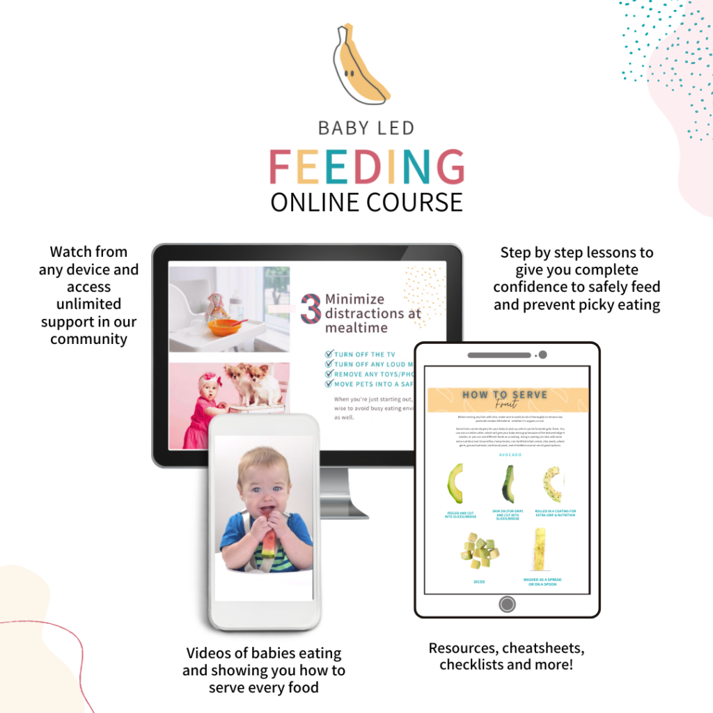 My Little Eater’s baby led feeding online course.