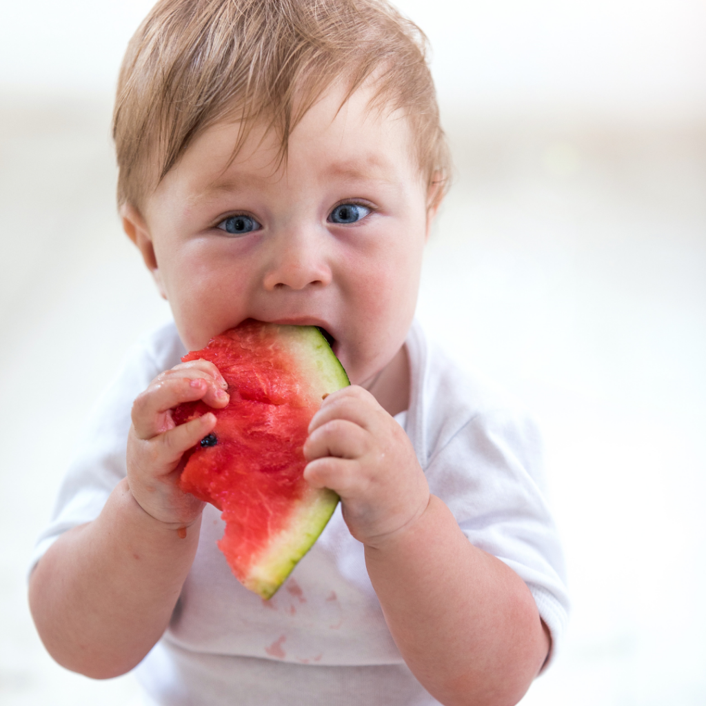 Baby eating a watermelon wedge with two hands.