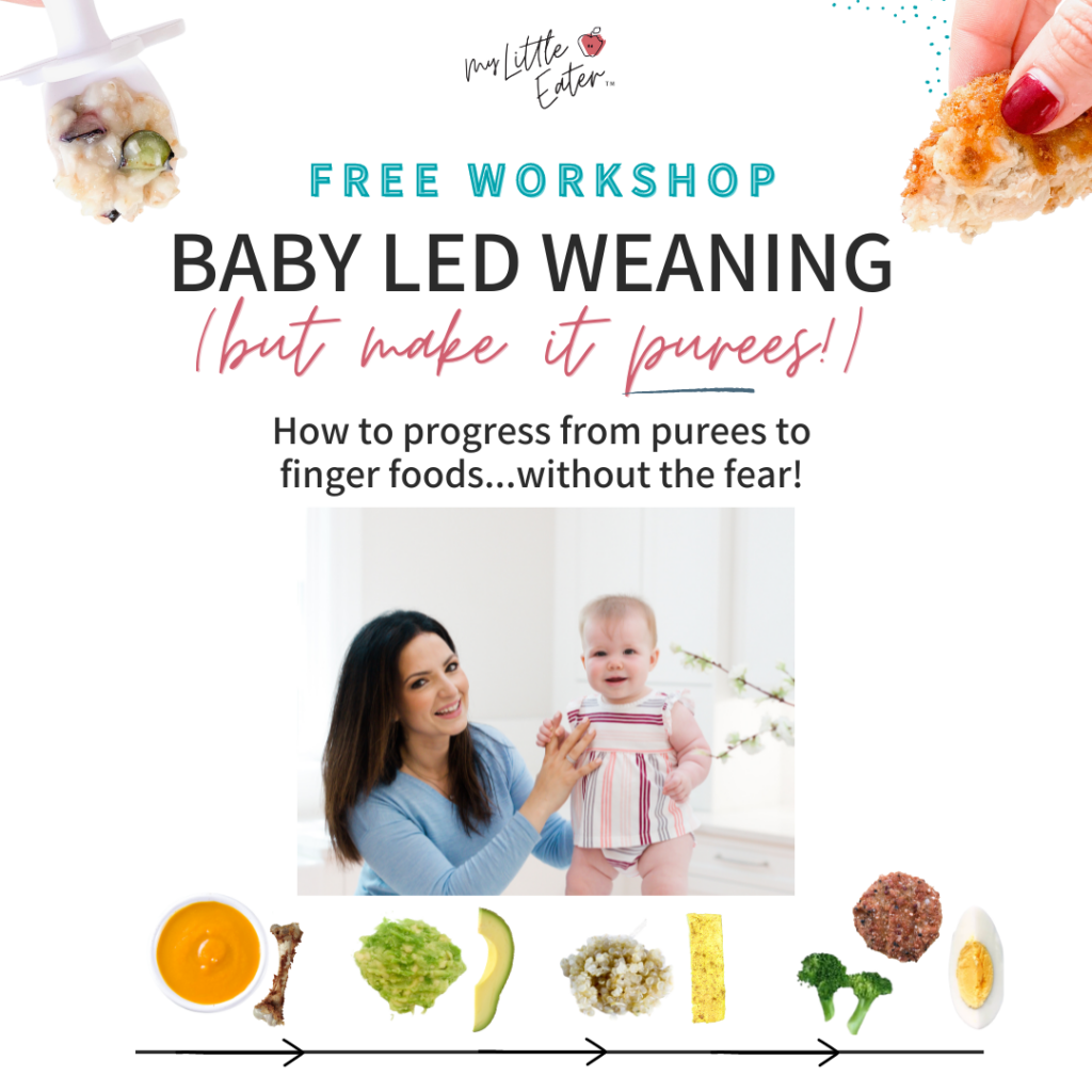 Free workshop on starting solids gradually with My Little Eater.