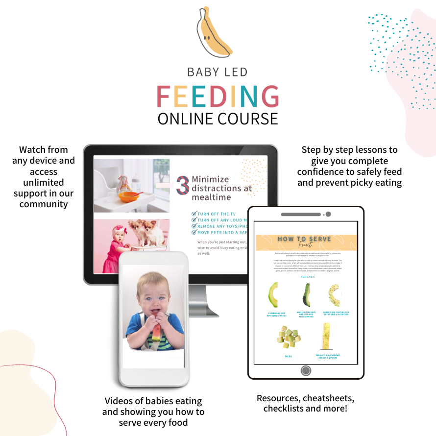 Baby led feeding online course for starting solids teaching safe solid food introduction, food allergy prevention, safety tips, and more!