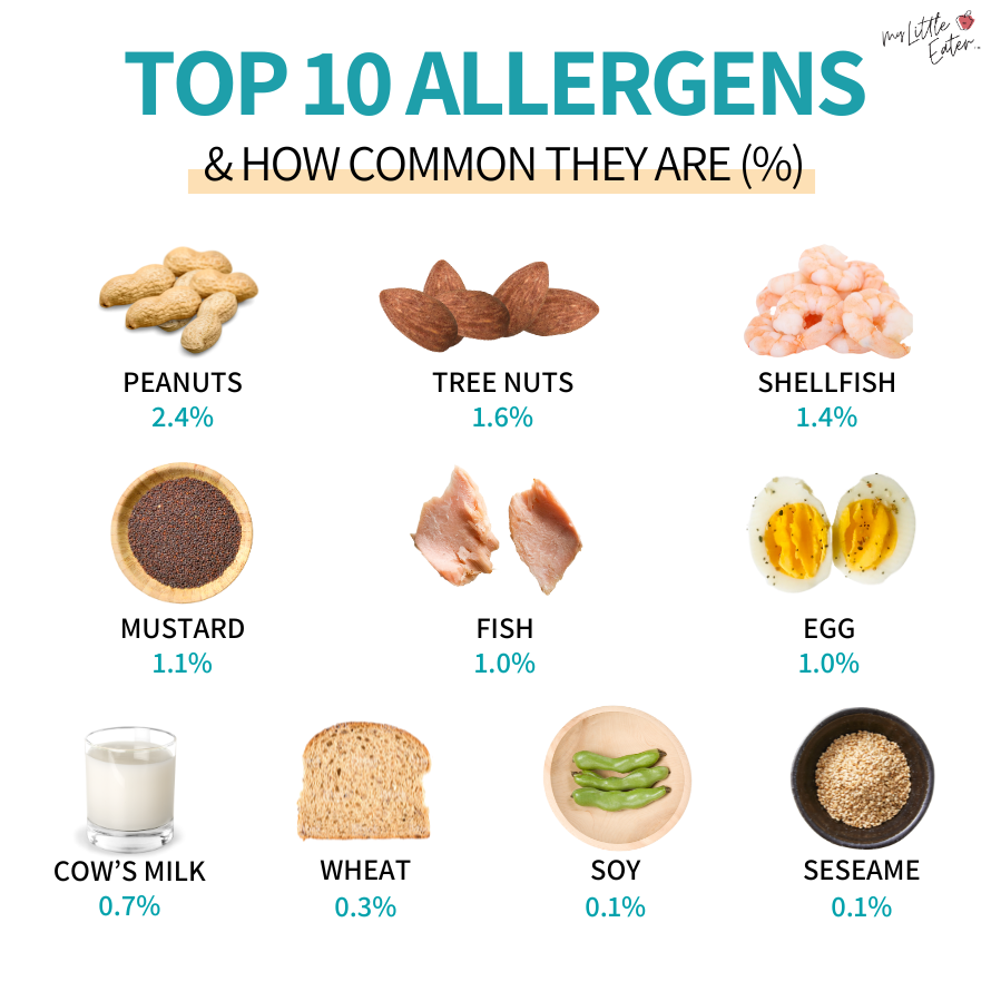 The top highly allergenic foods to be aware of when planning baby's meals for food allergy prevention.