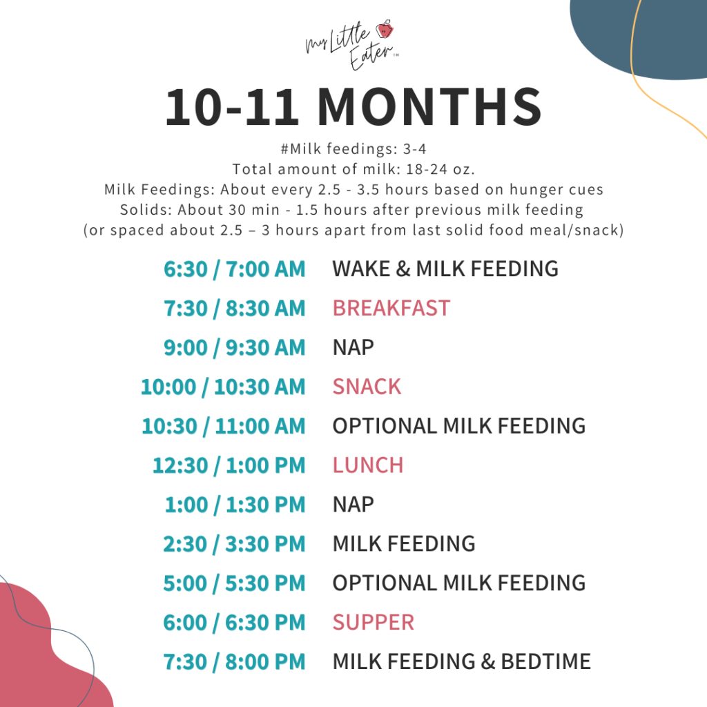 Breast milk or formula and solid food schedules for 10-11 months.