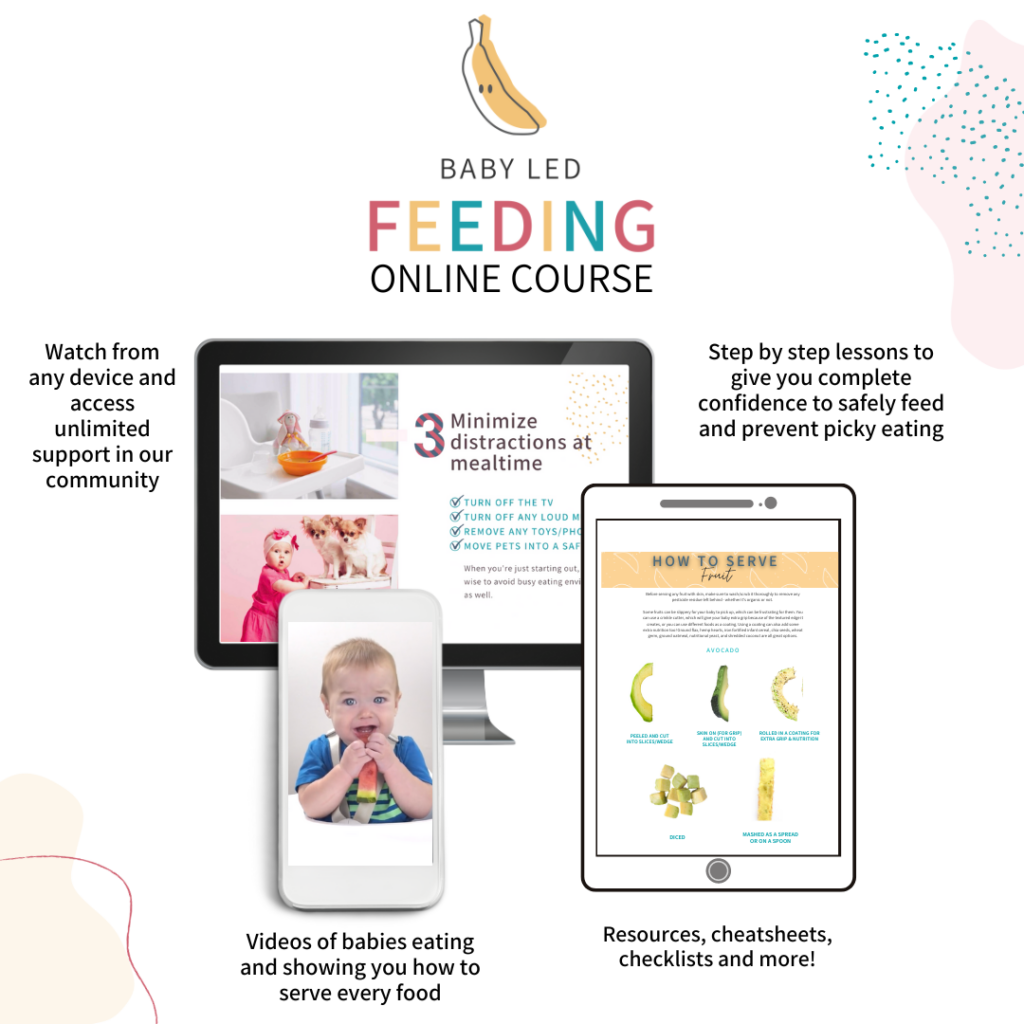 Baby Led Feeding online course.