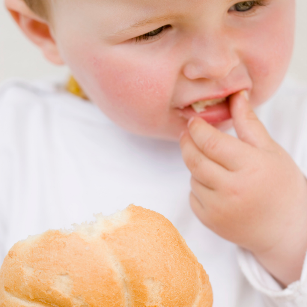 Baby eating a large piece of a bun as a finger food.