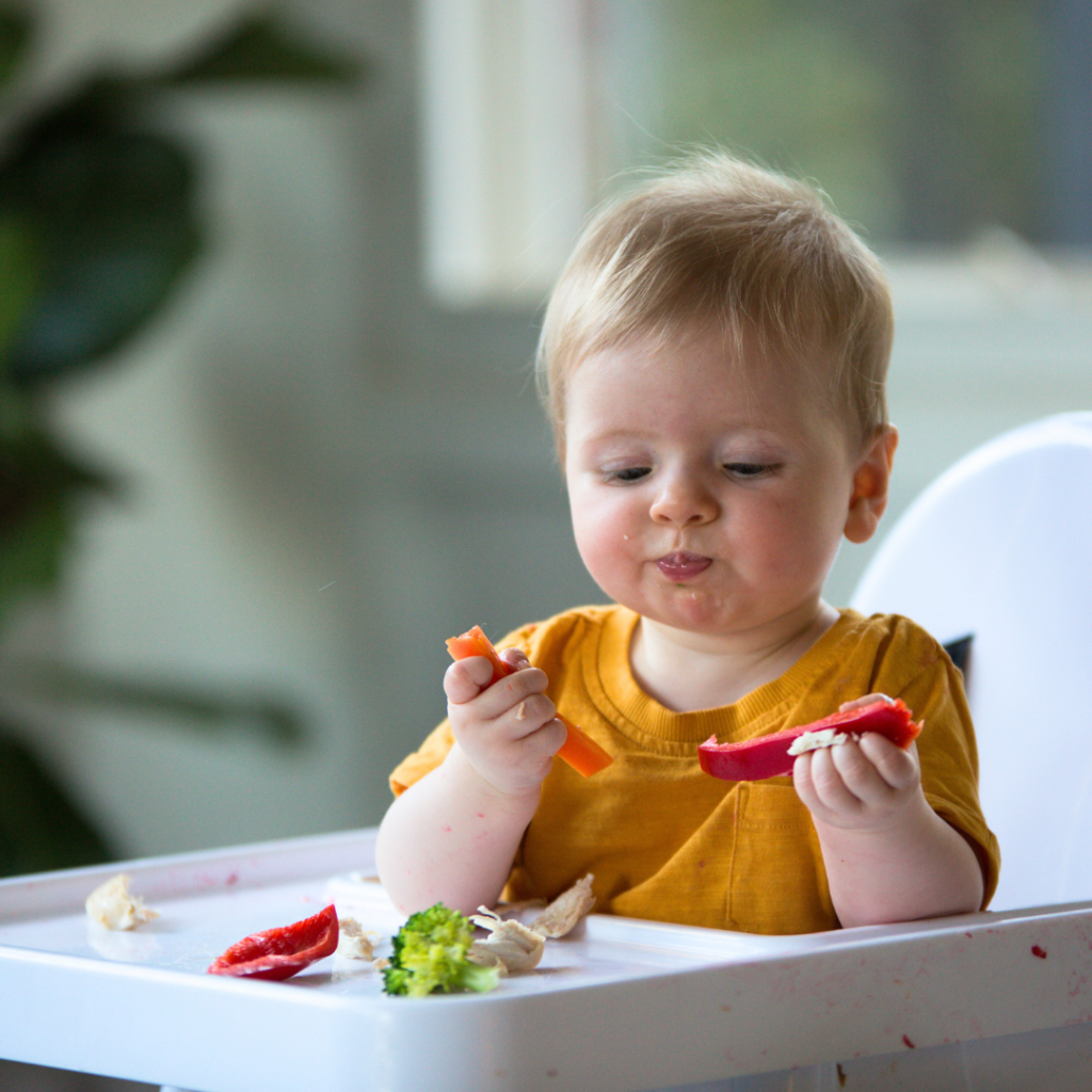 Baby holding finger foods in their hands while in a high chair, including roasted peppers and carrots.