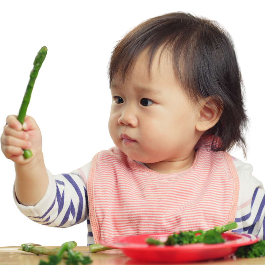 Baby looks at an asparagus spear with a plate of